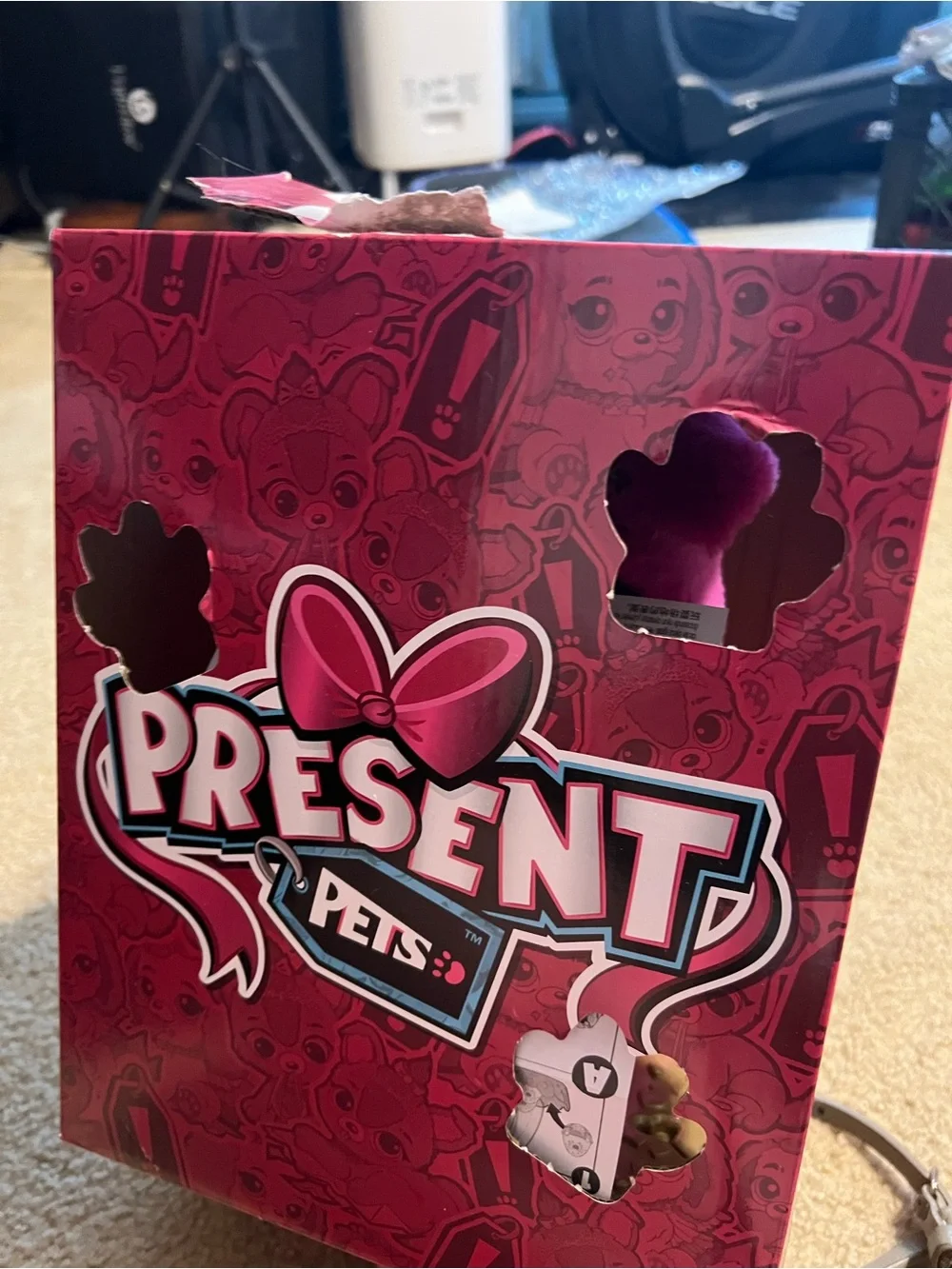 Present pets princess puppy - cici - Bright Pink by spinmaster